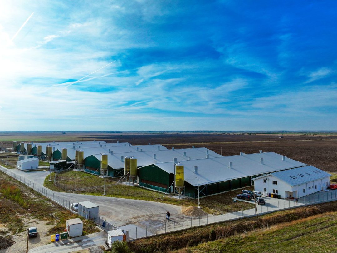 Fermă de îngrășare suine, Turnu, județul Arad